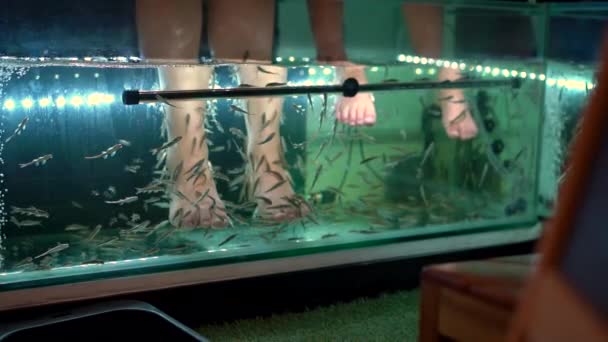 Slowmotion shot of a young woman and her little son visiting a fish spa. Cosmetic procedure fish peeling — Stock Video