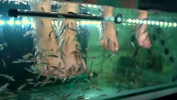 2x disparos en cámara lenta de una mujer joven y su pequeño hijo visitando un spa de peces. Procedimiento cosmético pelado de peces — Vídeo de stock