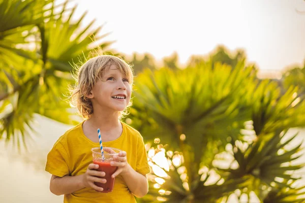 Jongen drinken gezonde smoothies tegen de achtergrond van palmbomen. Watermeloen smoothies. Gezonde voeding en vitaminen voor kinderen — Stockfoto