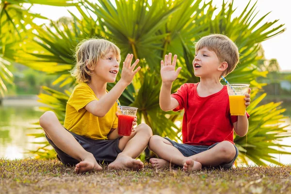 Δύο αγόρια πίνουν υγιεινά smoothies με φόντο τους φοίνικες. Σμούθι μάνγκο και καρπούζι. Υγιεινή διατροφή και βιταμίνες για παιδιά — Φωτογραφία Αρχείου