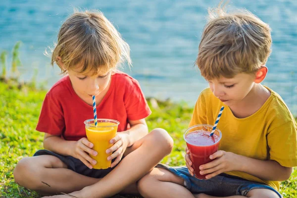 Två pojkar dricker hälsosam smoothies mot bakgrund av palmer. Mango och vattenmelonsmoothies. Hälsosam kost och vitaminer för barn — Stockfoto