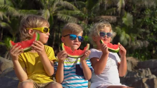 Grupo de crianças comendo melancia sentado em uma praia tropical. Conceito de infância. Conceito de verão — Vídeo de Stock