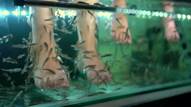 4x fois Plan ralenti d'une jeune femme et de son petit fils visitant un spa à poissons. Procédure cosmétique épluchage des poissons — Video