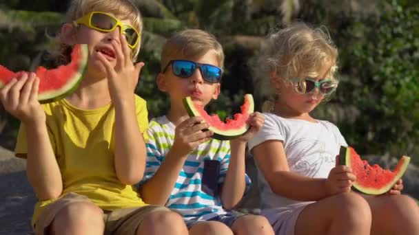 熱帯のビーチに座ってスイカを食べる子供たちのグループ。子供の頃のコンセプト。夏のコンセプト — ストック動画