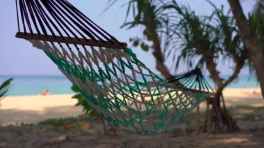 Tropik bir plajda bir hamak