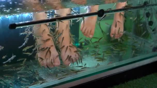 Eine junge Frau und ihr kleiner Sohn beim Besuch eines Fischbades. Kosmetischer Eingriff Fischpeeling — Stockvideo