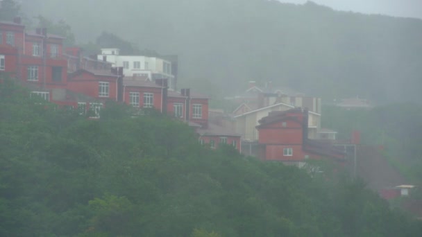 Vue sur les arbres sous la forte pluie et le vent. Tempête dans les régions nordiques concept. Concept d'ouragan — Video