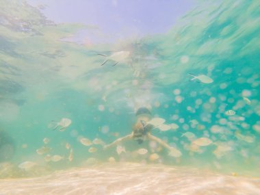 Şnorkel maskesi mutlu kadın mercan resifi deniz havuzunda tropikal balıklar ile sualtı dalış. Seyahat yaşam tarzı, su sporları açık macera, yaz plaj tatilinde yüzme dersleri