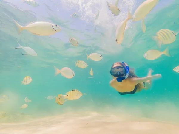 Glücklich Frau in Schnorchelmaske tauchen unter Wasser mit tropischen Fischen in Korallenriff Meerwasserpool. Reise-Lifestyle, Wassersport Outdoor-Abenteuer, Schwimmkurse im Sommerurlaub am Strand — Stockfoto