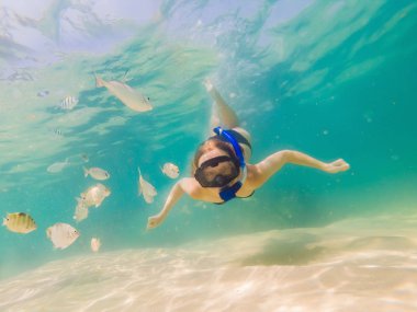 Şnorkel maskesi mutlu kadın mercan resifi deniz havuzunda tropikal balıklar ile sualtı dalış. Seyahat yaşam tarzı, su sporları açık macera, yaz plaj tatilinde yüzme dersleri