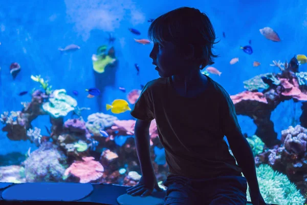 Ragazzino, bambino che guarda la secca dei pesci che nuotano nell'oceanario, bambini che si godono la vita subacquea in Acquario — Foto Stock