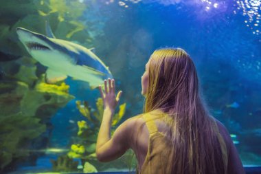 Genç bir kadın okyanus tünelinde iğneli bir balığa dokunuyor.