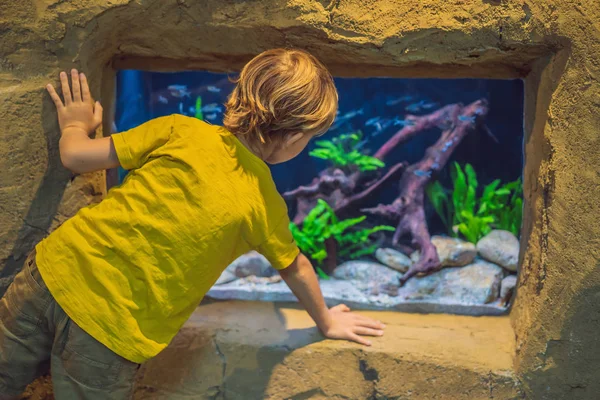 Ragazzino, bambino che guarda la secca dei pesci che nuotano nell'oceanario, bambini che si godono la vita subacquea in Acquario — Foto Stock