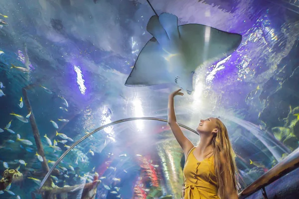 Jonge vrouw raakt een pijlstaartrog vis in een oceanarium tunnel aan — Stockfoto