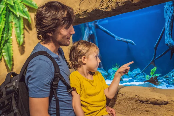 Apa és fia látszó-on egy alagút akvárium hal — Stock Fotó