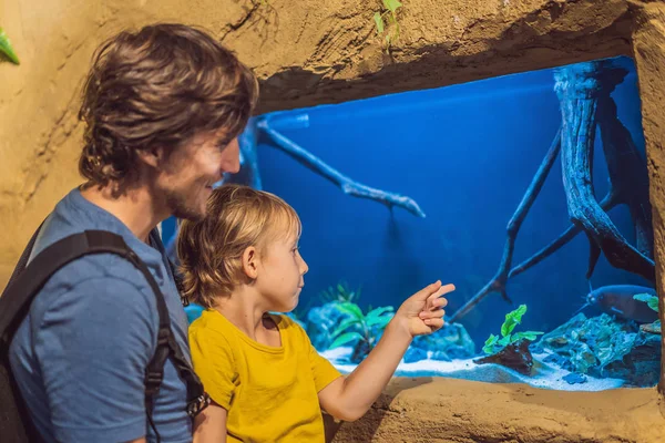 Vader en zoon kijken naar vis in een aquarium van tunnel — Stockfoto