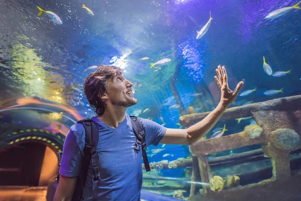 Любопытный турист смотрит с интересом на акулу в океанариуме туннеля — стоковое фото