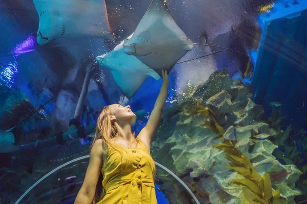 Jonge vrouw raakt een pijlstaartrog vis in een oceanarium tunnel aan — Stockfoto