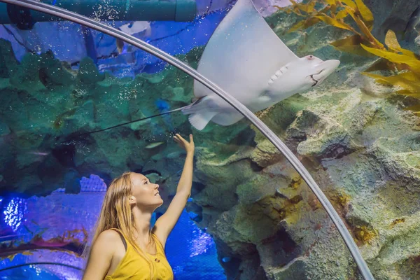 Jonge vrouw raakt een pijlstaartrog vis in een oceanarium tunnel aan — Stockfoto