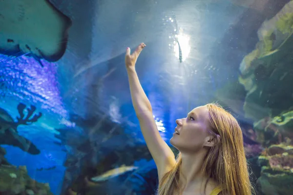 Jovem toca num peixe raivoso num túnel oceanário — Fotografia de Stock