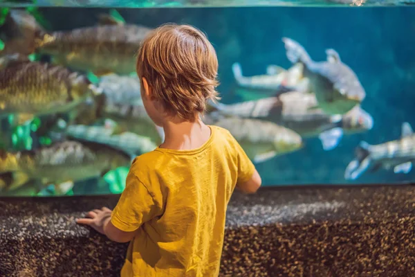 Мальчик, ребенок, смотрящий на стаю рыб, плавающих в океанариуме, дети, наслаждающиеся подводной жизнью в Аквариуме — стоковое фото