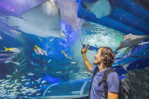 Curioso osservazione turistica con interesse sullo squalo in galleria oceanica — Foto Stock