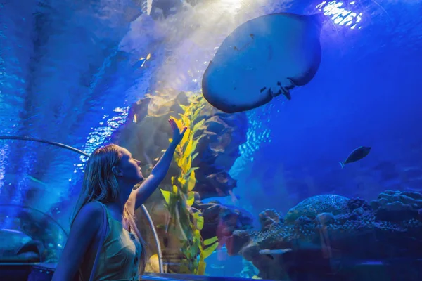 Jovem toca num peixe raivoso num túnel oceanário — Fotografia de Stock