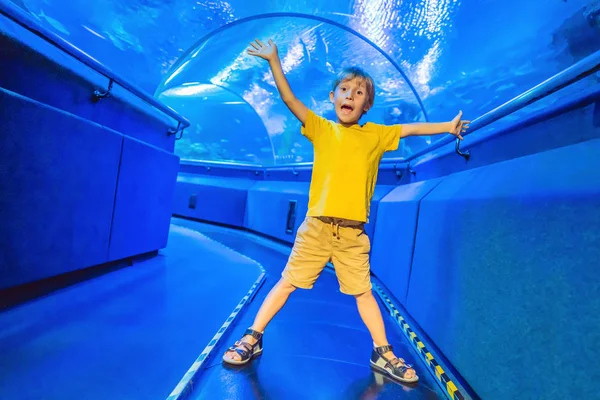 水族館と少年、海洋水族館、水中トンネルと子供、野生動物屋内、自然水生、魚、カメを訪問 — ストック写真