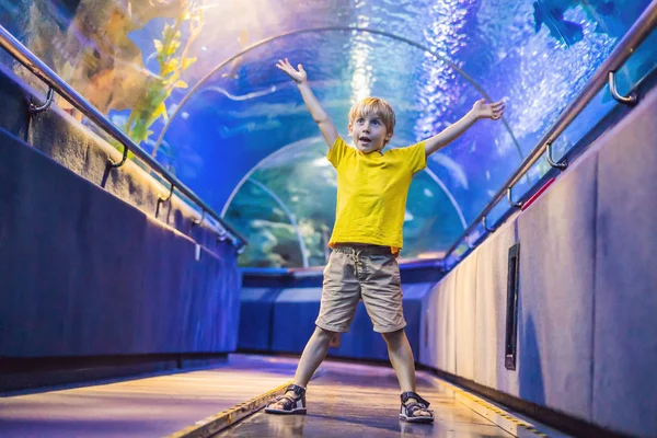Akvárium és fiú, látogatás Oceanarium, víz alatti alagút és a gyerek, vadon élő állatok beltéri, természet vízi, hal, teknősbéka — Stock Fotó