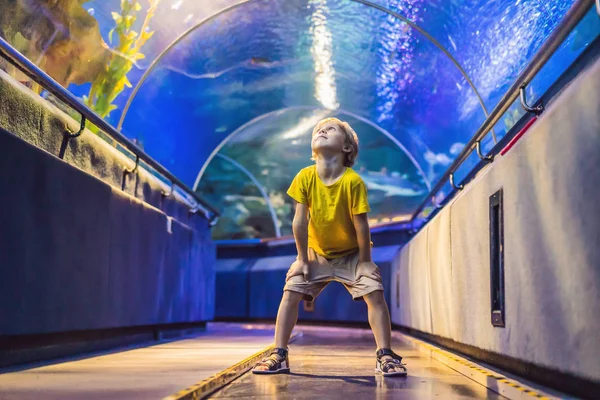 Akvaryum ve çocuk, oceanarium ziyaret, sualtı tüneli ve çocuk, yaban hayatı sualtı kapalı, doğa sucul, balık, kaplumbağa — Stok fotoğraf