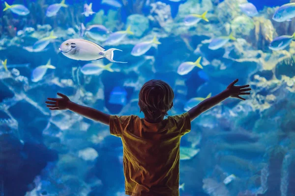 Ragazzino, bambino che guarda la secca dei pesci che nuotano nell'oceanario, bambini che si godono la vita subacquea in Acquario — Foto Stock