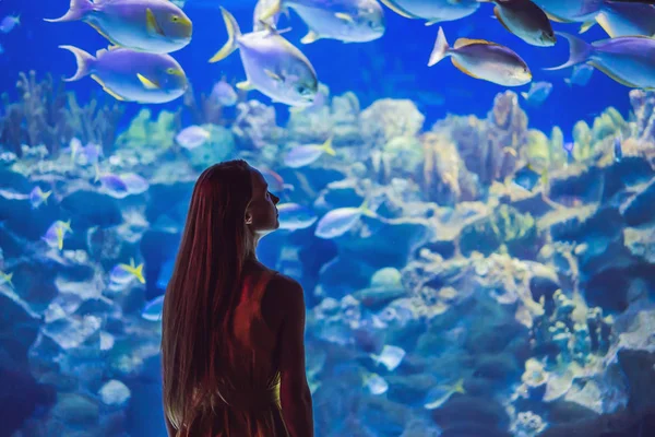 Jonge vrouw raakt een pijlstaartrog vis in een oceanarium tunnel aan — Stockfoto