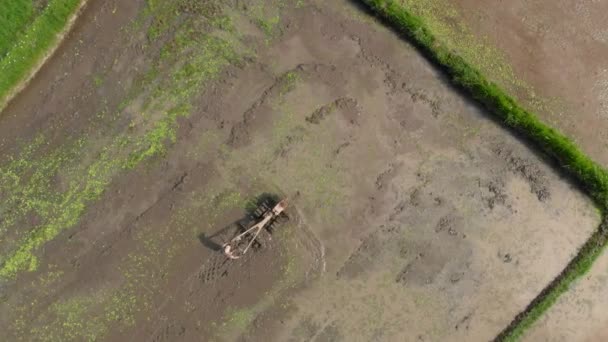 쌀 농장을 위해 준비하여 밭을 갈고있는 농부의 공중 촬영 — 비디오