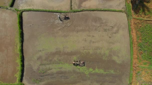 Aerial shot of farmers doing plowing the field with preparing it for rice plantation — Stock Video