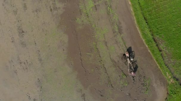 Воздушный кадр фермеров, пахающих поле и готовящих его к рисовой плантации — стоковое видео