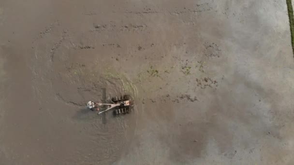 Aerial shot of farmers doing plowing the field with preparing it for rice plantation — Stock Video