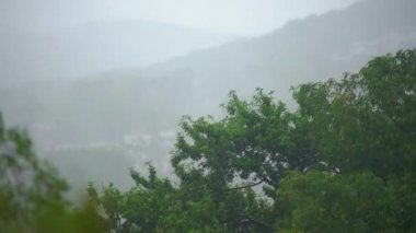 Ağır yağmur ve rüzgar altında ağaçların üzerinde görüntüleyin. Kuzey bölgelerinde fırtına kavramı. Kasırga konsepti