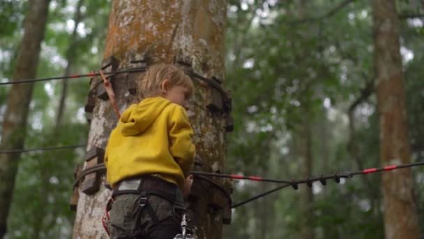 Superslowmotion skott av en liten pojke i en säkerhetssele klättrar på en rutt i trädtopparna i en skog äventyrspark. Han klättrar på hög repspår. Nöjescentrum utomhus med klättrings aktiviteter — Stockvideo