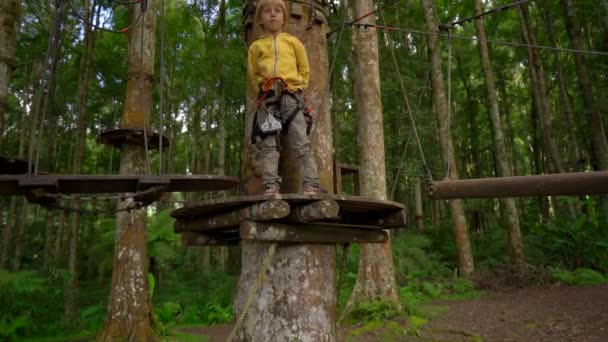 在森林探险公园的树梢上，一个小男孩在安全带上攀爬的慢动作镜头。他爬上高高的绳索。室外娱乐中心，包括登山活动 — 图库视频影像