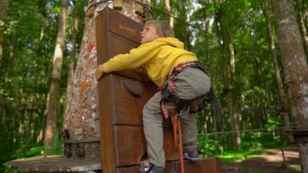 Il rallentatore di un ragazzino con un'imbracatura di sicurezza si arrampica su un percorso in cima ad un albero in un parco avventura nella foresta. Si arrampica su un sentiero ad alta corda. Centro di divertimenti all'aperto con attività di arrampicata — Video Stock