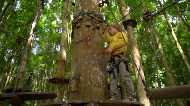 安全ハーネスの小さな男の子のスローモーションショットは、森林アドベンチャーパークの木の頂上のルートに登ります。彼は高いロープの道を登る。屋外アミューズメントセンター(登山活動) — ストック動画