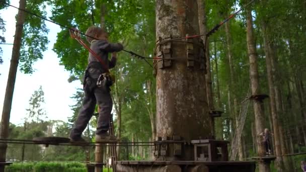 Menino em um arnês de segurança sobe em uma rota em um parque de aventura florestal. Ele sobe em alta corda trilha. Centro de diversões ao ar livre com atividades de escalada consistindo de tirolesa e todos os tipos de — Vídeo de Stock