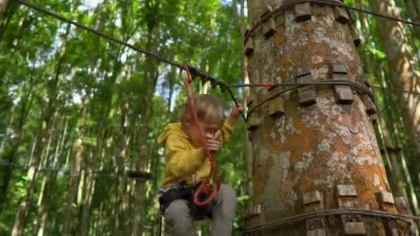 Un niño pequeño con un arnés de seguridad sube a una ruta en un parque de aventura forestal. Se sube a un sendero de cuerda alta. Centro de diversiones al aire libre con actividades de escalada que consta de tirolesas y todo tipo de — Vídeo de stock