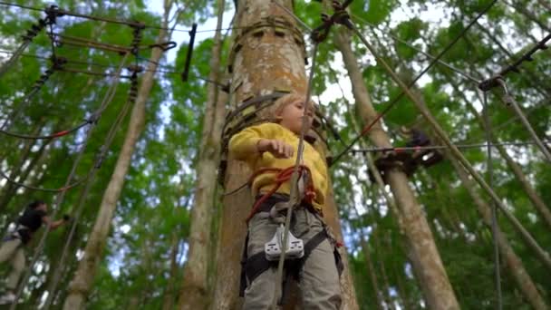 Im Zeitlupentempo klettert ein kleiner Junge im Sicherheitsgurt auf eine Route in Baumkronen eines Wald-Erlebnisparks. Er klettert auf einem Hochseilgarten. Outdoor-Vergnügungszentrum mit Kletteraktivitäten — Stockvideo