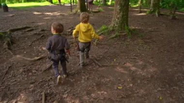 Bir orman macera parkı bir güvenlik koşum iki küçük çocuk slowmotion çekim. Fermuar hatları ve yetişkin için engellerin her türlü oluşan tırmanma faaliyetleri ile açık eğlence merkezi ve