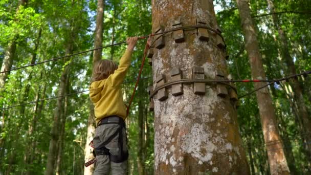 在森林探险公园的一条路线上，穿着安全带的小男孩爬上了一条路线。他爬上高高的绳索。室外娱乐中心，包括拉链和各种攀岩活动 — 图库视频影像