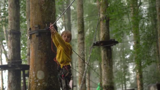 Liten pojke i en säkerhetssele klättrar på en rutt i trädtopparna i en skog äventyrspark. Han klättrar på hög repspår. Utomhus nöjescentrum med klättrings aktiviteter som består av zip linjer och alla — Stockvideo