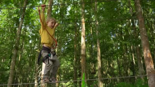 Ein kleiner Junge im Sicherheitsgurt klettert auf eine Route in einem Wald-Erlebnispark. Er klettert auf einem Hochseilgarten. Outdoor-Vergnügungszentrum mit Kletteraktivitäten bestehend aus Seilrutschen und allerlei — Stockvideo