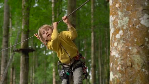 Liten pojke i en säkerhetssele klättrar på en rutt i trädtopparna i en skog äventyrspark. Han klättrar på hög repspår. Utomhus nöjescentrum med klättrings aktiviteter som består av zip linjer och alla — Stockvideo