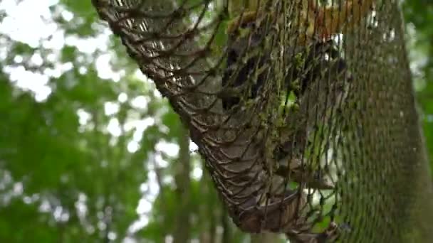 Liten pojke i en säkerhetssele klättrar på en rutt i trädtopparna i en skog äventyrspark. Han klättrar på hög repspår. Utomhus nöjescentrum med klättrings aktiviteter som består av zip linjer och alla — Stockvideo